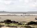 immediate-beach