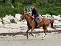 riding